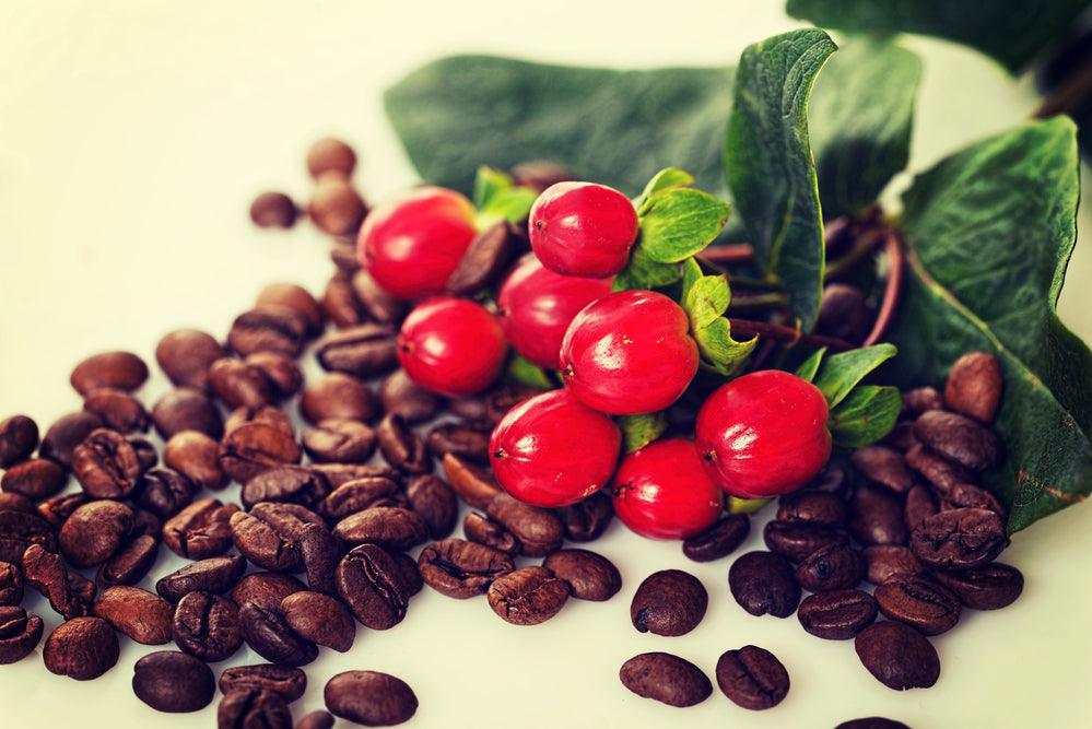 How Caffeine Can Help Your Skin - OZNaturals