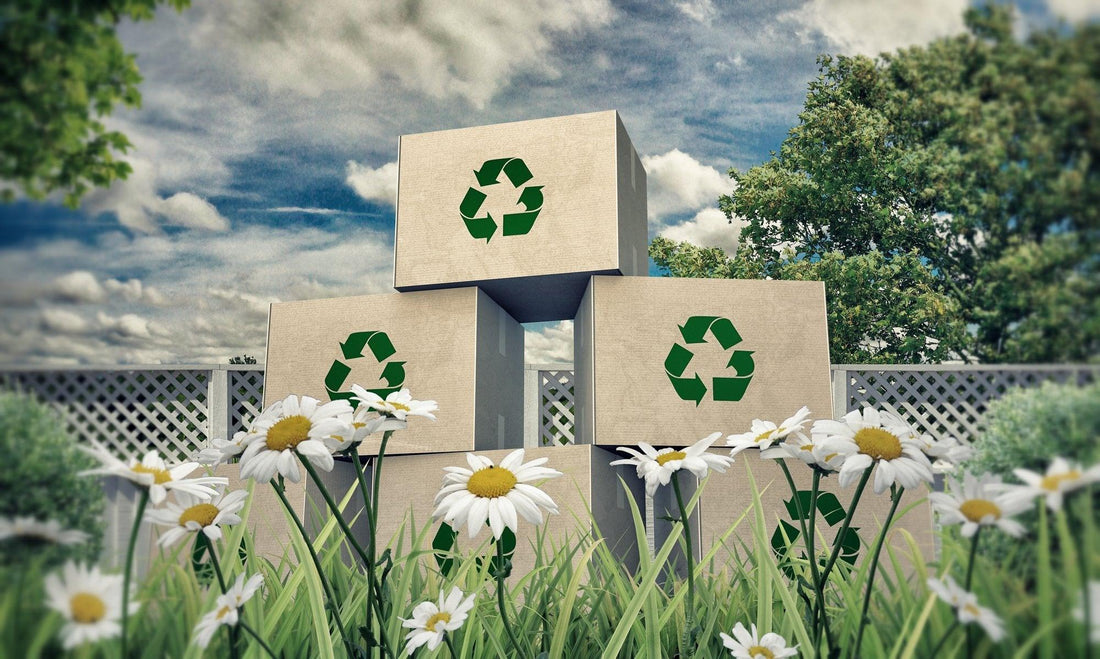 Lighten Your Ecological Footprint-OZNaturals