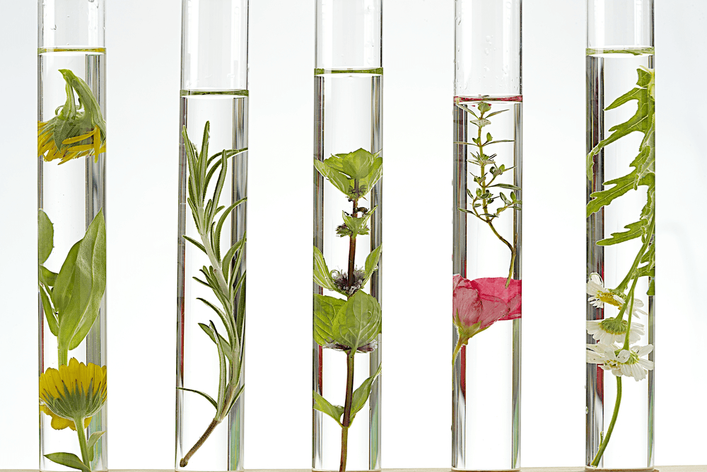 Natural Ingredients to Look for When Selecting Skin Care Products - OZNaturals