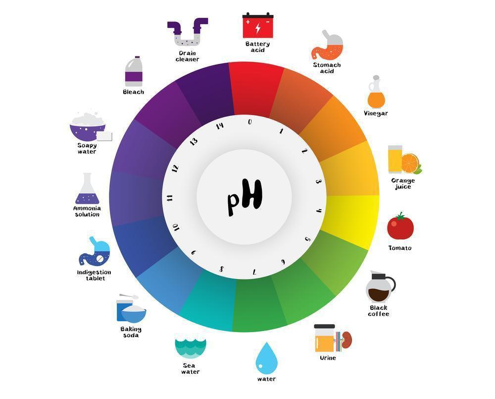 pH and Your Skin-OZNaturals