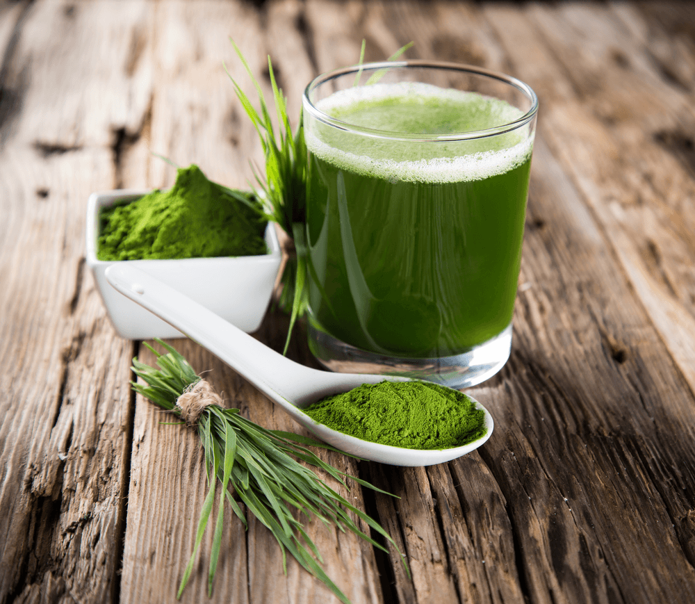 Skin Benefits of Spirulina - OZNaturals